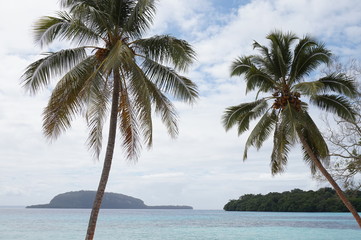 Champagne Beach in Vanuatu,Espiritu Santo Island