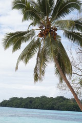 Champagne Beach in Vanuatu,Espiritu Santo Island