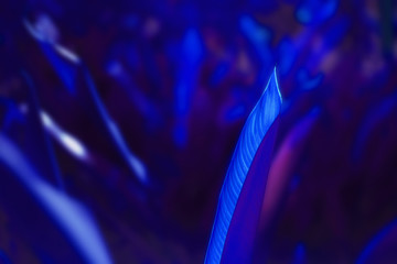 abstract blue background