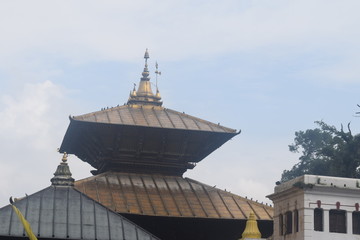 Fototapeta premium pashupatinath temple kathmandu nepal