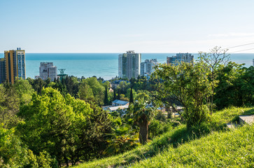 Obraz premium Sea view from a green park in a warm southern city
