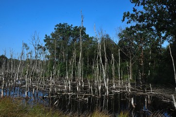 Norddeutschland 2019