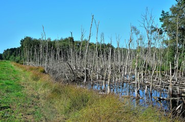 Norddeutschland 2019