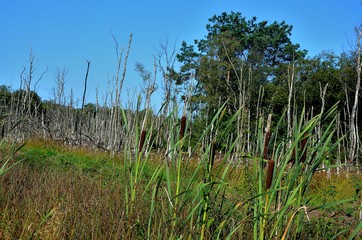 Norddeutschland 2019