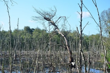 Norddeutschland 2019