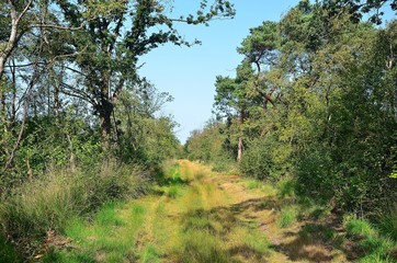 Norddeutschland 2019