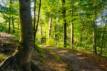 Harz, Nationalpark, Wälder und Berge in Sachsen Anhalt