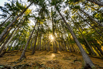 Harz, Nationalpark, Wälder und Berge in Sachsen Anhalt