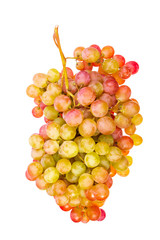 A large bunch of grapes