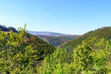 Obraz premium Harz, Nationalpark, Wälder und Berge in Sachsen Anhalt
