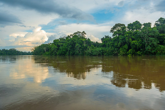 Landscape of the Amazon tropical rainforest along the Aguarico river inside the Cuyabeno Faunistic Reserve near Lago Agrio, Ecuador, South America.