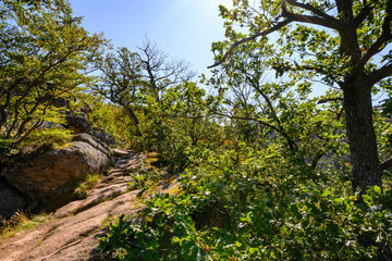 Harz, Nationalpark, Wälder und Berge in Sachsen Anhalt