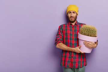 Displeased young male botanist holds big pot of cactus, wears checkered shirt and yellow hat, has...
