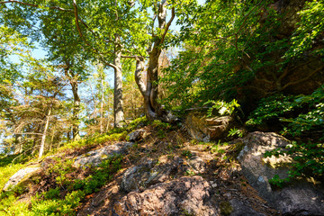 Harz, Nationalpark, Wälder und Berge in Sachsen Anhalt