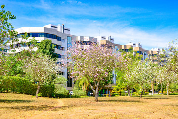 Fototapeta premium A beautiful view of Southwest Sector in Brasilia, Brazil