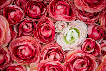 bouquet of red roses