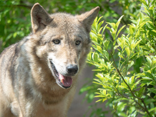 Cute animals at the zoo