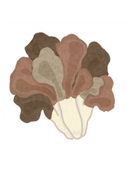 マイタケ　まいたけ