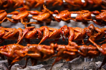 Grilled quail rolling on the grill  cooking on hot stove