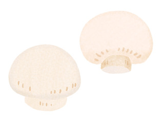 マッシュルーム　mushroom