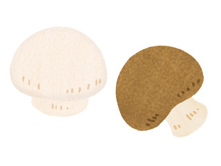 マッシュルーム　mushroom