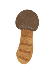 マツタケ　松茸　Japanese mushrooms