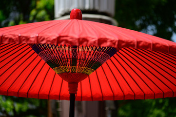 伝統。よさこい祭り