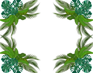 Fototapeta na wymiar Green Leaves of tropical palm trees symmetrically. Bouquets. Monstera, agave, banana. illustration