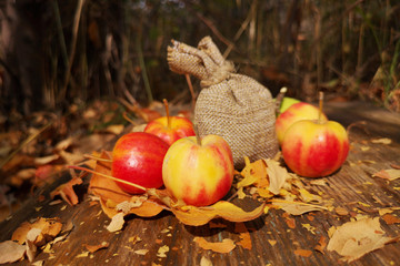 The apples are red and the pouch is in the garden under the trees on a bright Sunny day. The concept of autumn fruit harvest in different countries. Holiday Apple