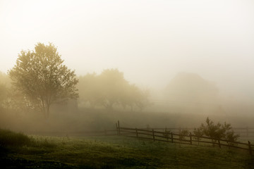 Beautiful sunrise in mountains with white fog.Travel background. Exploring beauty world. Carpathian mountains. Ukraine. Europe. Summer landscape