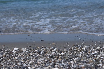 schiuma di mare in spiaggia