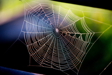 Spider web with colorful background