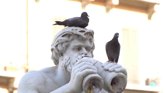 Architectural details of Fontana del Moro or Moro Fountain with pigeon. Rome. Italy