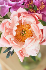 Photo of a dusty pink peony on a blurry background