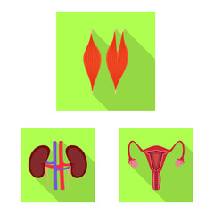 Fototapeta premium Isolated object of human and health logo. Collection of human and scientific stock symbol for web.