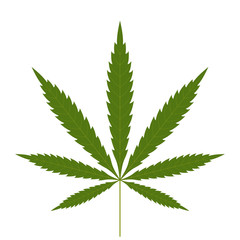 Cannabis leaf icon. Green silhouette indica sativa isolated white background. Herbal medicine herb plant. Natural weed hemp. Addiction smoke drug Illegal narcotic marijuana design. Vector illustration