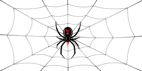Fototapeta premium Spider Black Widow, cobweb. Red black spider 3D, spiderweb, isolated white background. Scary Halloween decoration icon web. Symbol networking, animal arachnid, creepy insect fear. Vector illustration