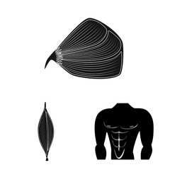 Vector illustration of human and body logo. Set of human and cells stock vector illustration.