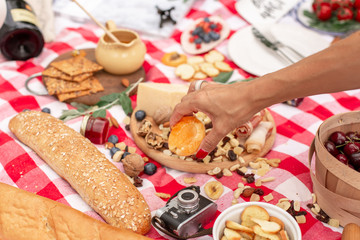 Summer outdoor picnic party. Food, honey and fruits lay on checkered blanket.