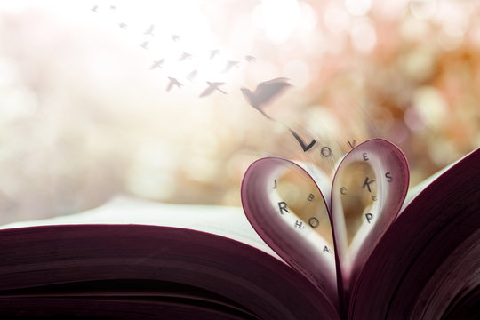 Freedom and Love Concept. Birds Flying out the Page Roll like a Heart Shape on Book. Vintage Warm Tone