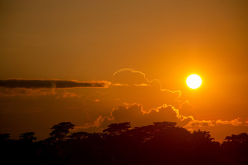 Evening Sun