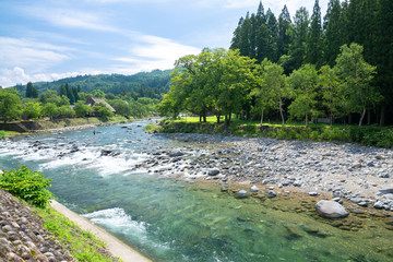 Obraz premium 荘川の流れ