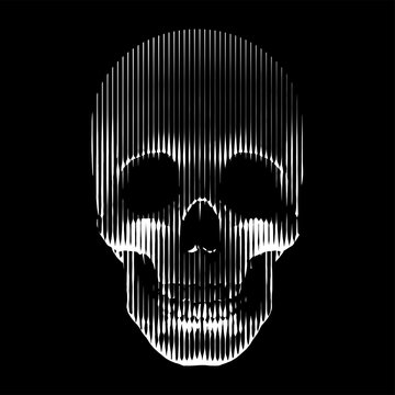 Vector line- art skull made by vertical lines. Human skull front view, enlightened from under.