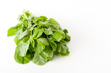 アマランサスの葉（葉野菜）