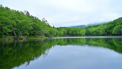 Fototapeta premium 遊歩道から見た知床五湖の情景＠北海道