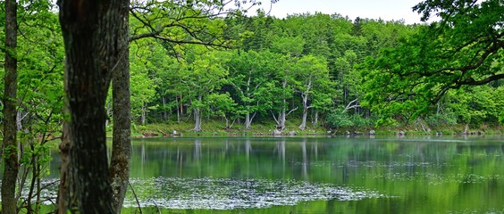 遊歩道から見た知床五湖の情景＠北海道