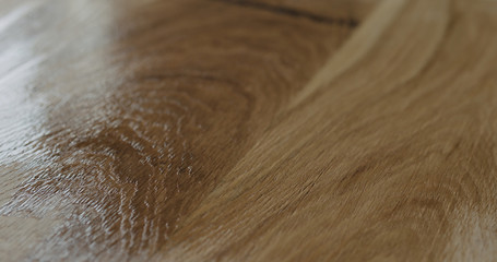 Fototapeta premium applying oil finish to oak surface with brush
