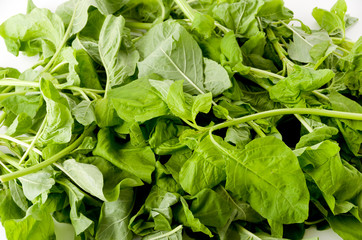 アマランサスの葉（葉野菜）