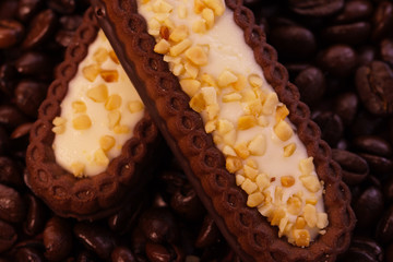 Chocolate cake with nuts on roasted coffee beans	