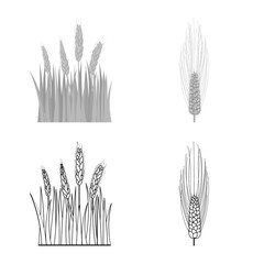 Vector illustration of agriculture and farming logo. Collection of agriculture and plant stock symbol for web.